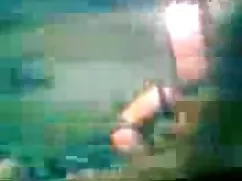 裸体的照片真实的(!)间谍凸轮猫